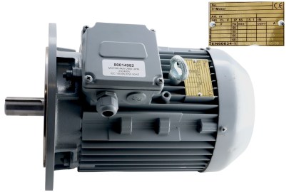 MOTOR 4KW 2900 UPM 230/400V IEC 100,B5,IP55 50HZ,ES für Seitentrocknung WT1.1